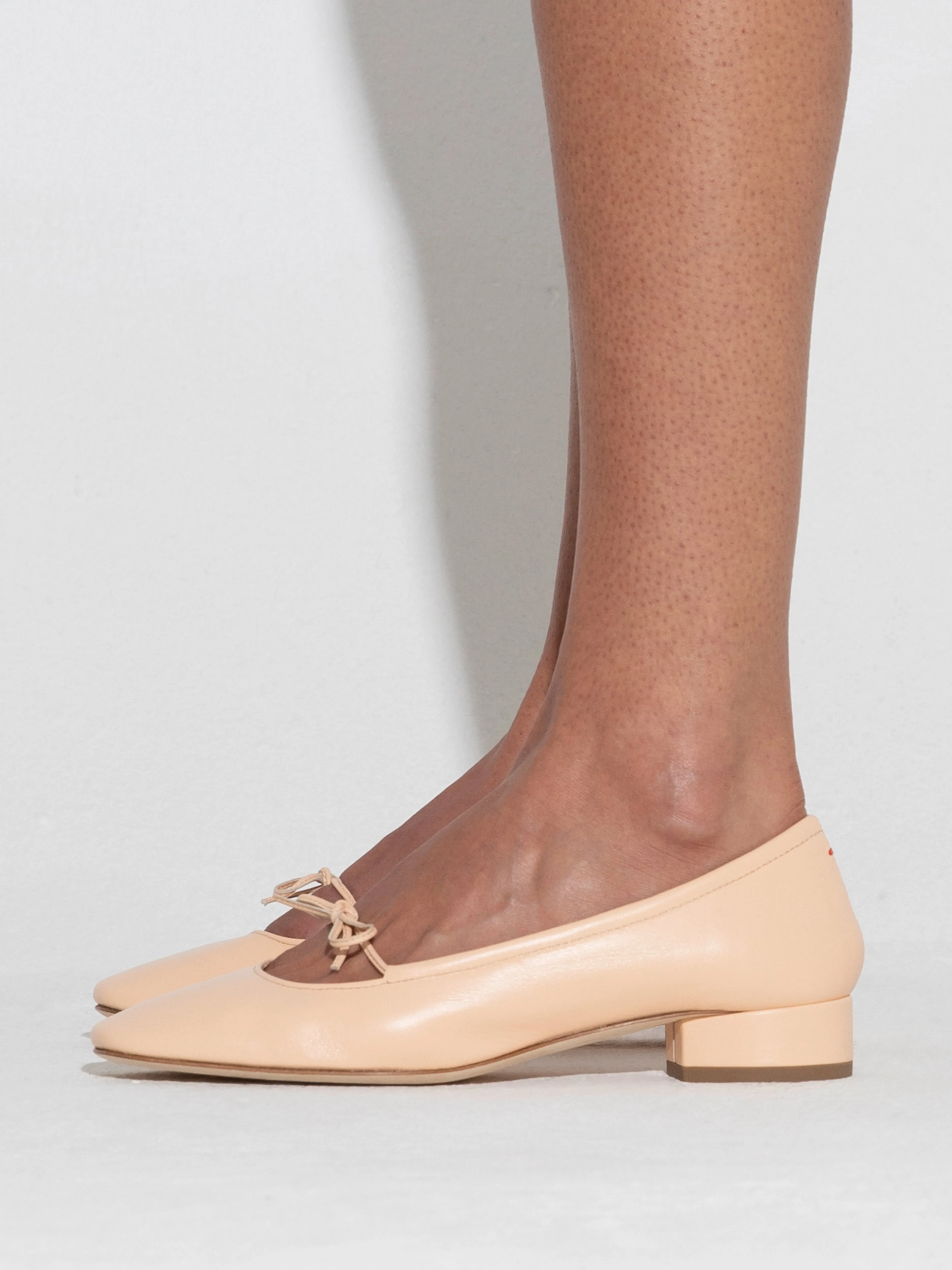 Darya Leather Ballet Flats